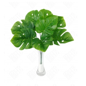 Mini Buque Costela De Adao X9 32cm E1005 H8