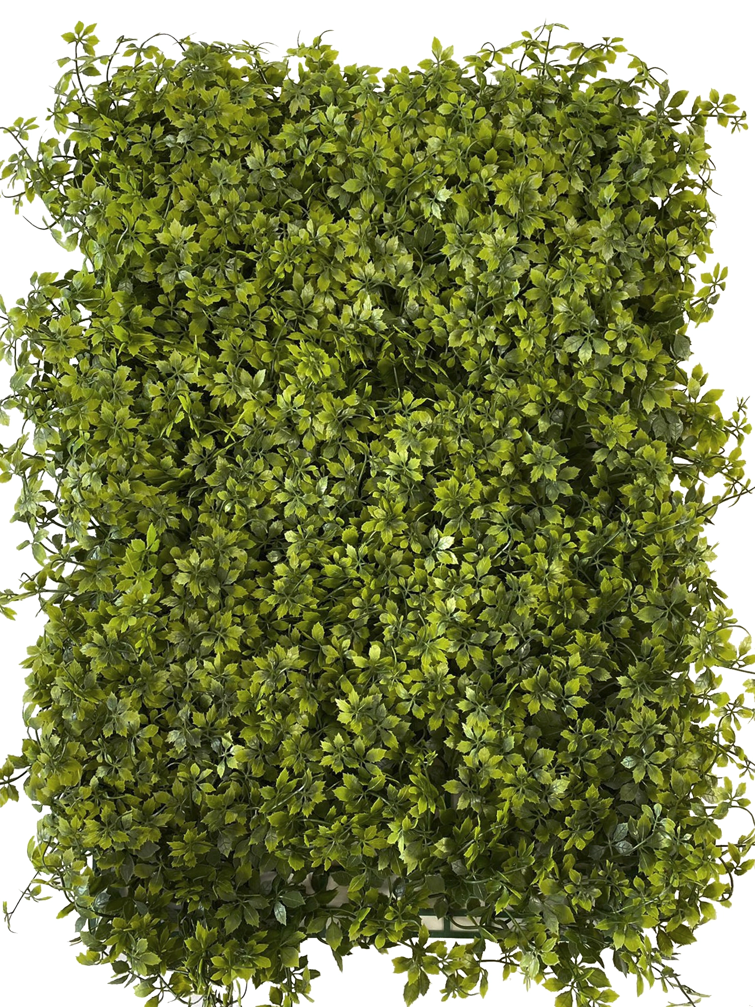 Tapete Grama Folhagem 60x40cm E 1047 H8