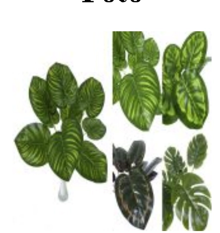 Buque De Folhas Sortidas H8 Flores E Plantas