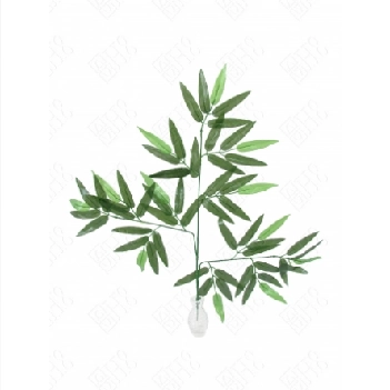 Folhagem De Bambu E Y0016 H8