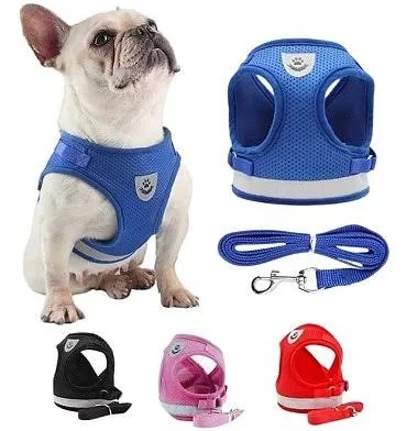 Sopets Colete Com Guia P