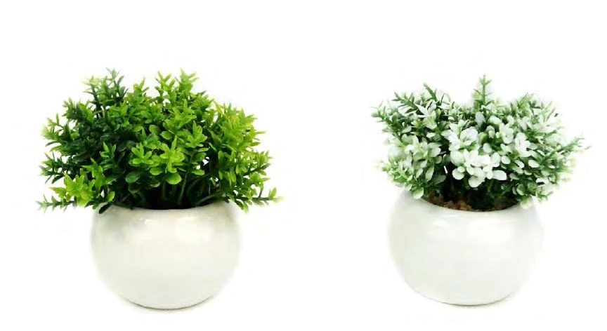 Vaso Porcelana Com Suculenta Flovas17