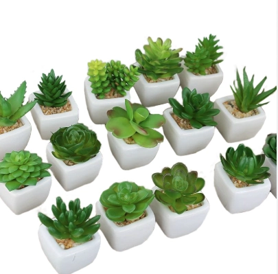 Vaso Porcelana Suculenta Sort 8x6cm Multiart