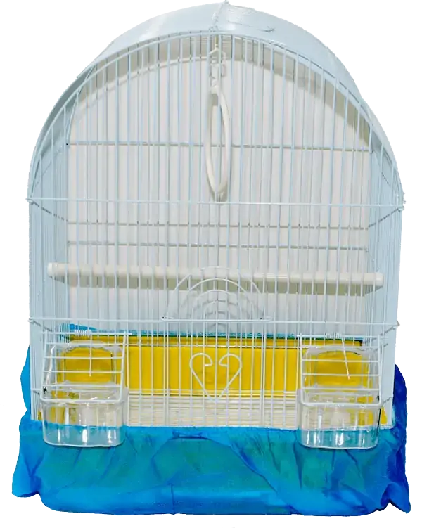 Forro Para Gaiola Em Tnt N 5 59x22cm Cores Sortidas Mr Pet