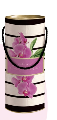 Lata Com Alça Para Presente Celine Tamanho G 27x10cm Cromus