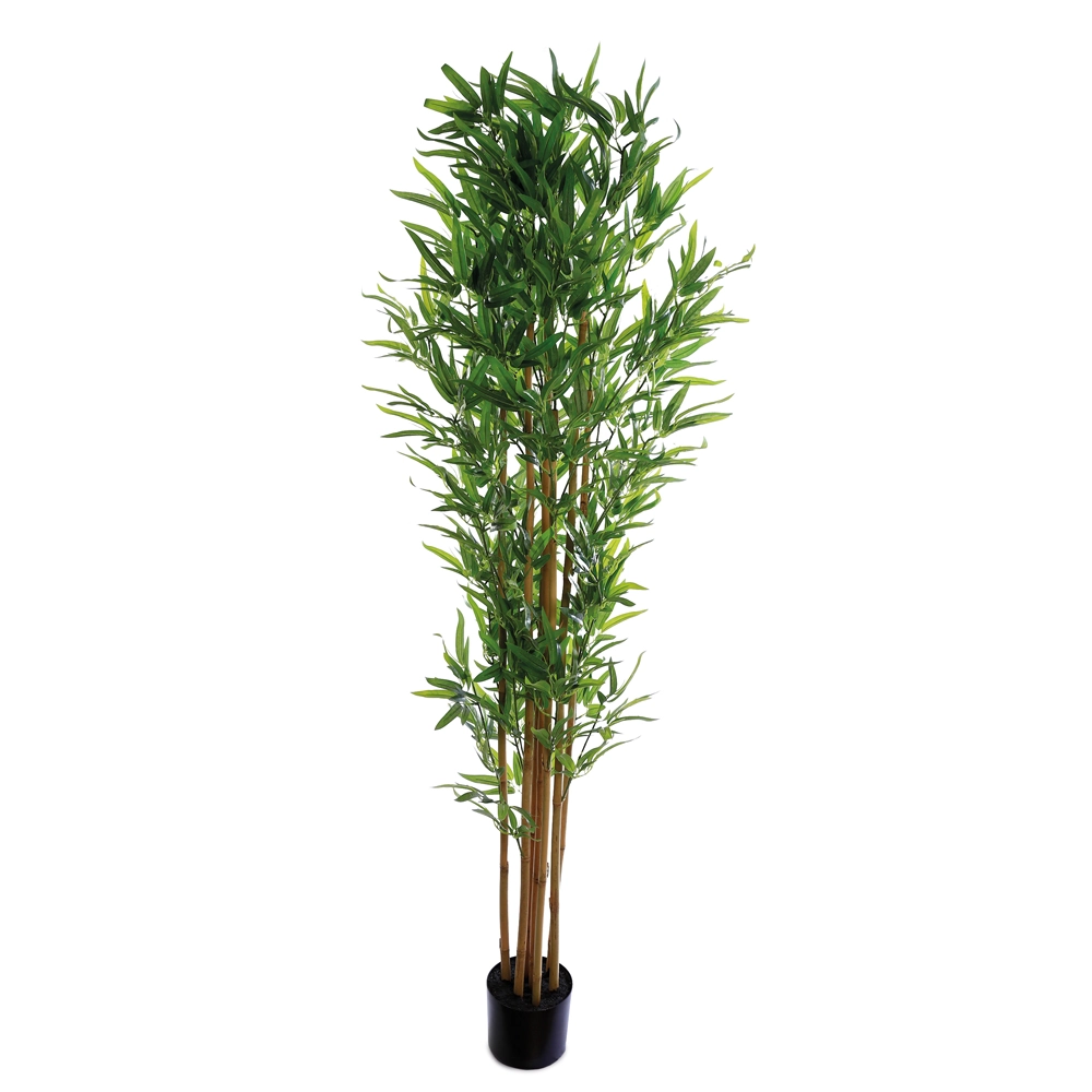 Arvore Bambu Vrd 180cm 1000381 Cromus