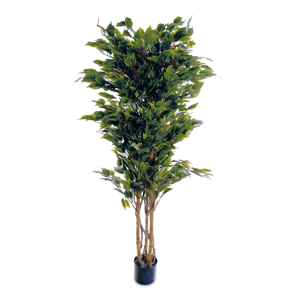 Arvore Ficus Vrd 150cm 1000385 Cromus