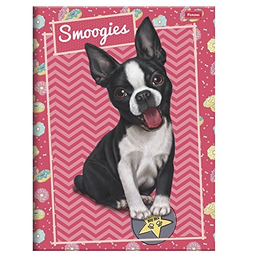 Caderno Brochurao Foroni Smoogies 96fl Un