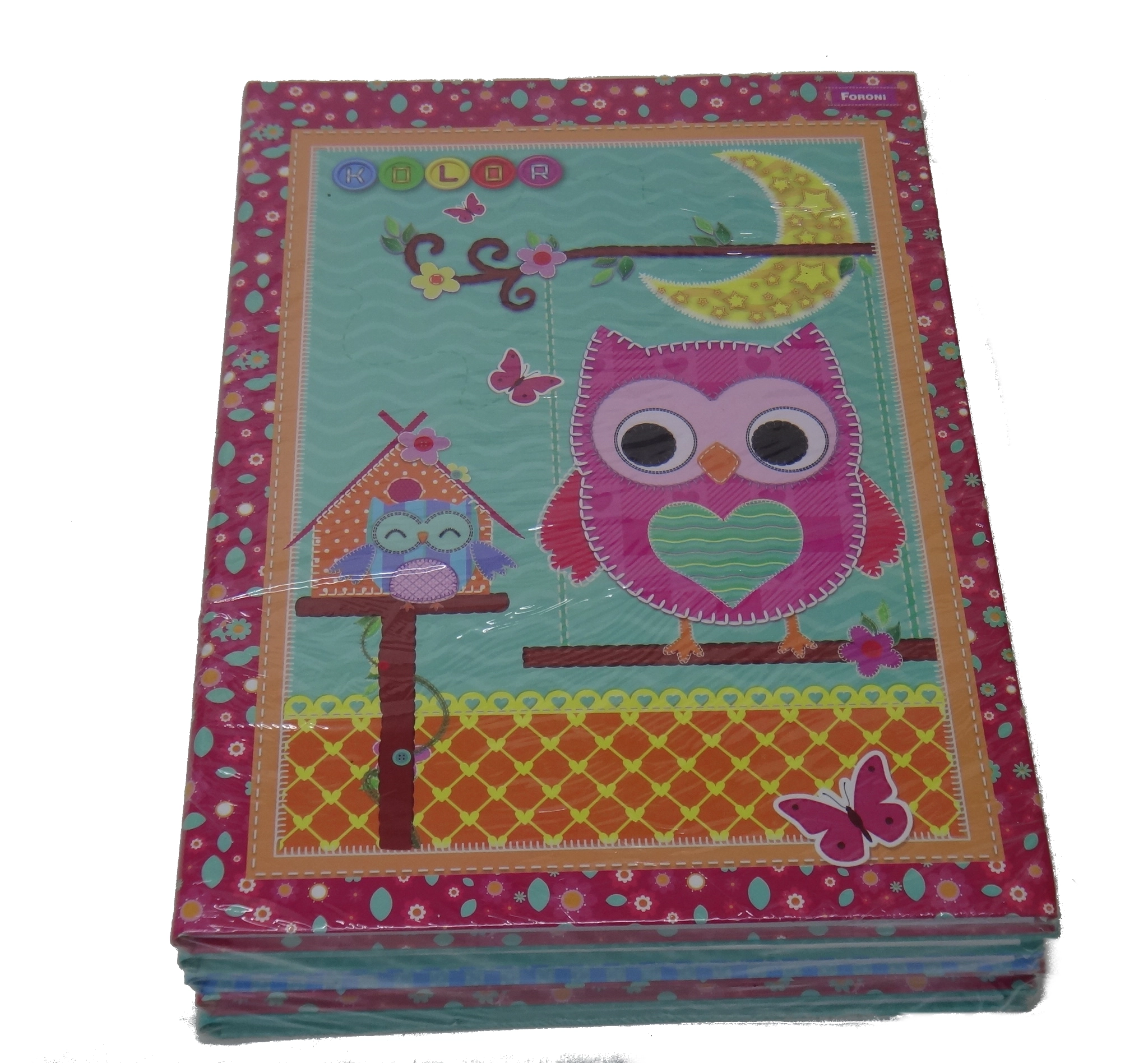 Caderno Brochura Color 96 Folhas 630g Foroni