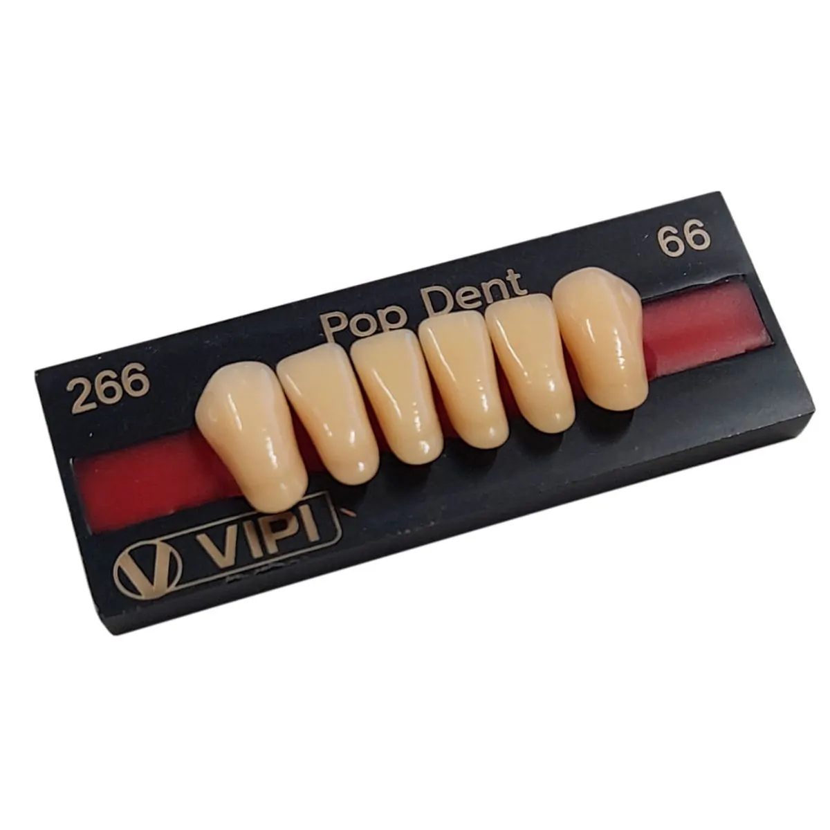 Dente Pop Dent Anterior Inferior - Vipi - Dente 266 Inf. 66 - Pop