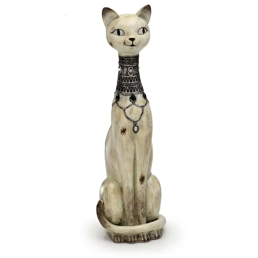 Gato Marrom G Espressione