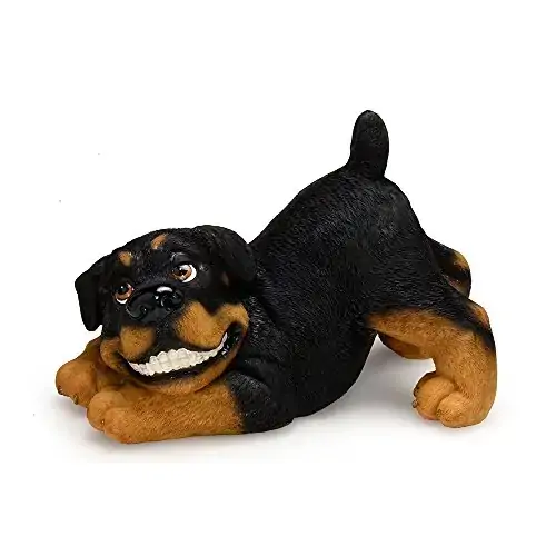 Fig.cachorro Hotvaille Sentado Espressione
