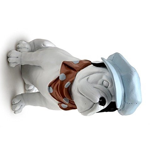 Cachorro C/boina Branco Espressione