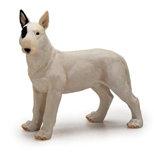 Enf.cachorro Bull Terrier Premiere