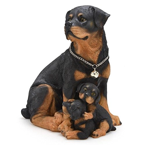 Enf.cachorro C/filhote Espressione