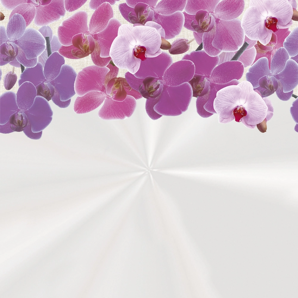 Saco Tranparente 52x70 Violacea Barrado Com 25un