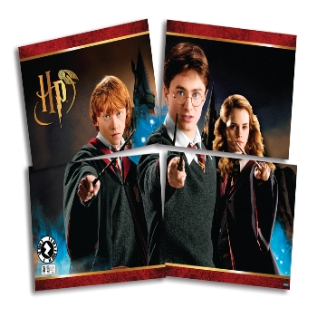 Painel 4 Laminas Harry Potter