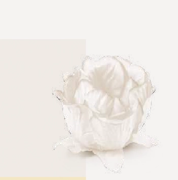 Forminha P/doce Flor