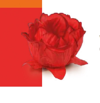Forminha Doce Flora Verm Rubi 30un 28610701