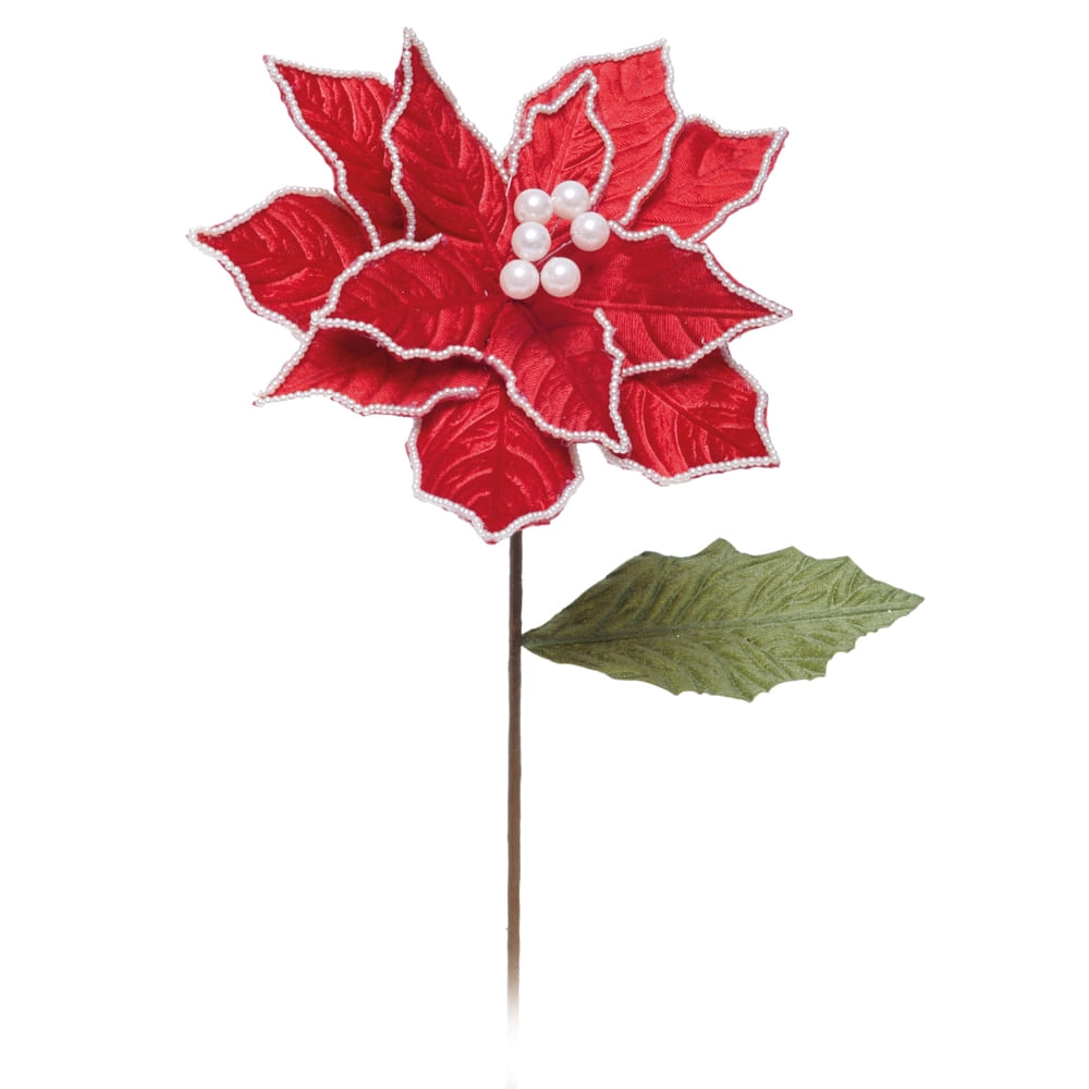 Poinsetia Cromus Borda Perolas Vrm