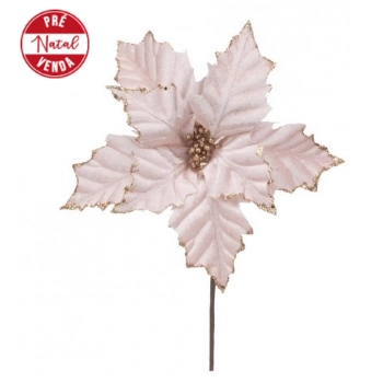 Flor Poinsetia Natal 1025988 Cromus