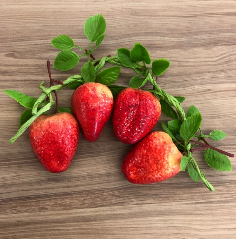 Ramo Fruta Decorativa Morango 4un 10005 Santland