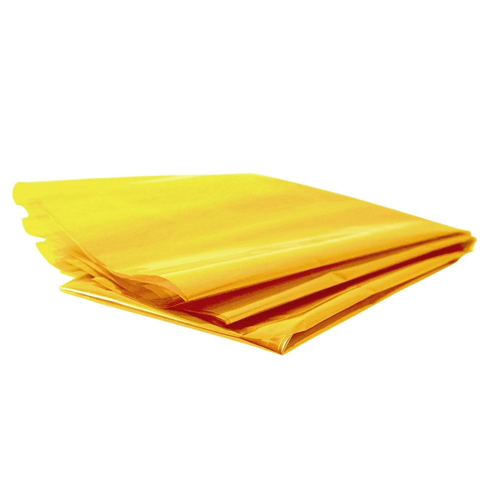 Folha Poli Escolar Amar 85x100 C/3 Cromus