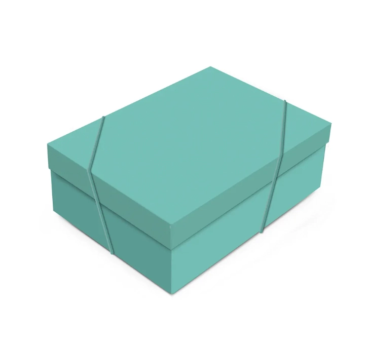 Cx Ret C/tampa Aqua P 24x18x8 C/1 Un