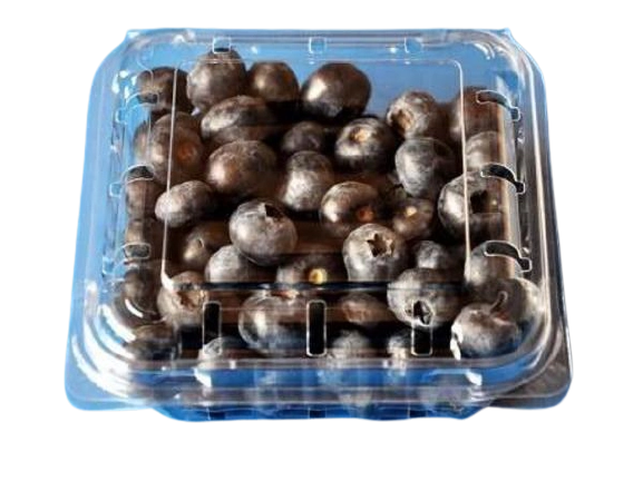 Blueberry Mirtilo 125g
