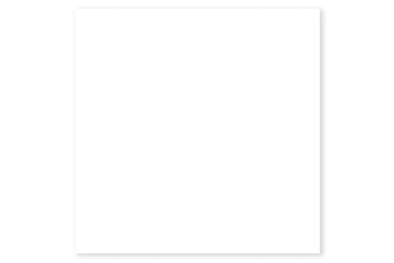 Piso Cerâmico Brilhante Borda Bold Branco 45x45cm