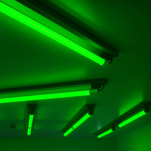 Lampada Led Tubular T8 Verde Bivolt 18w Ip20 Alut By Avant
