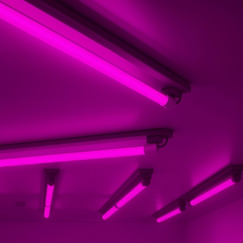 Lampada Led Tubular T8 Rosa Bivolt 18w Ip20 Alut By Avant