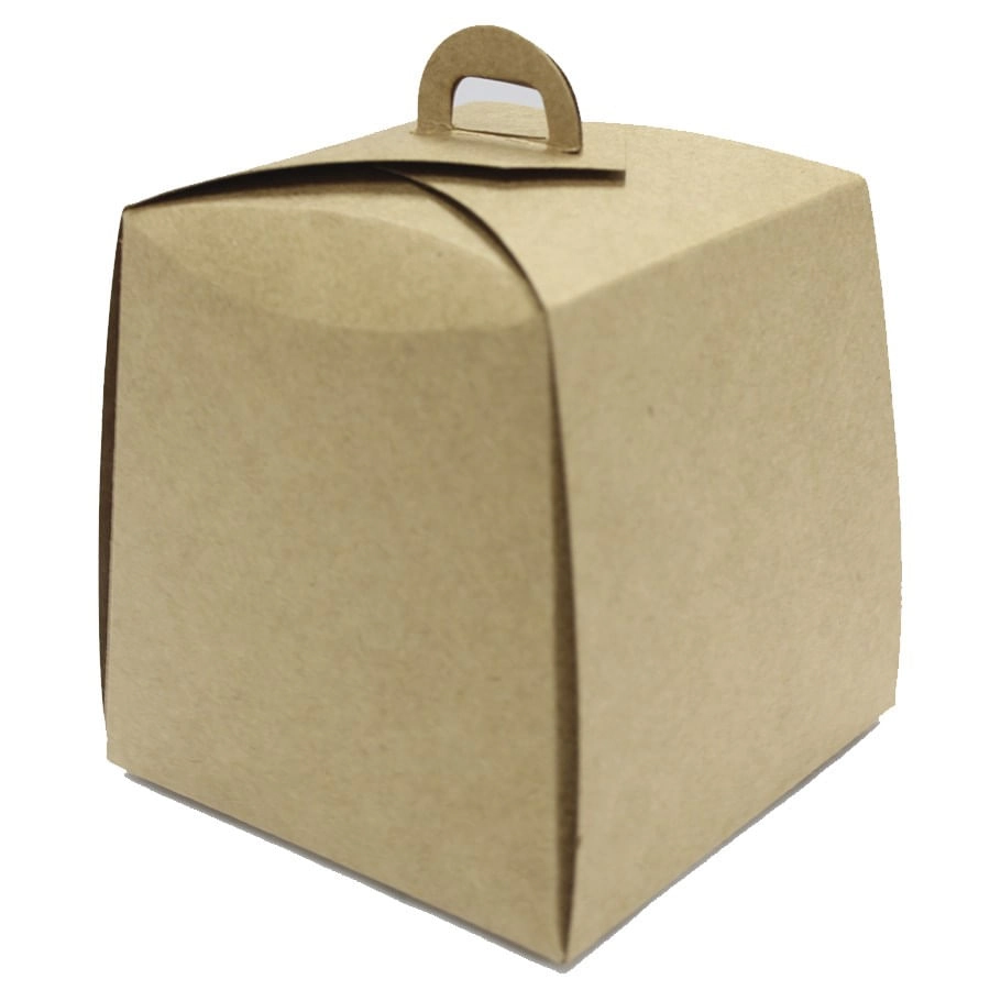 Cx Panet 100g 10x10x10 C.10 Kraft Assk