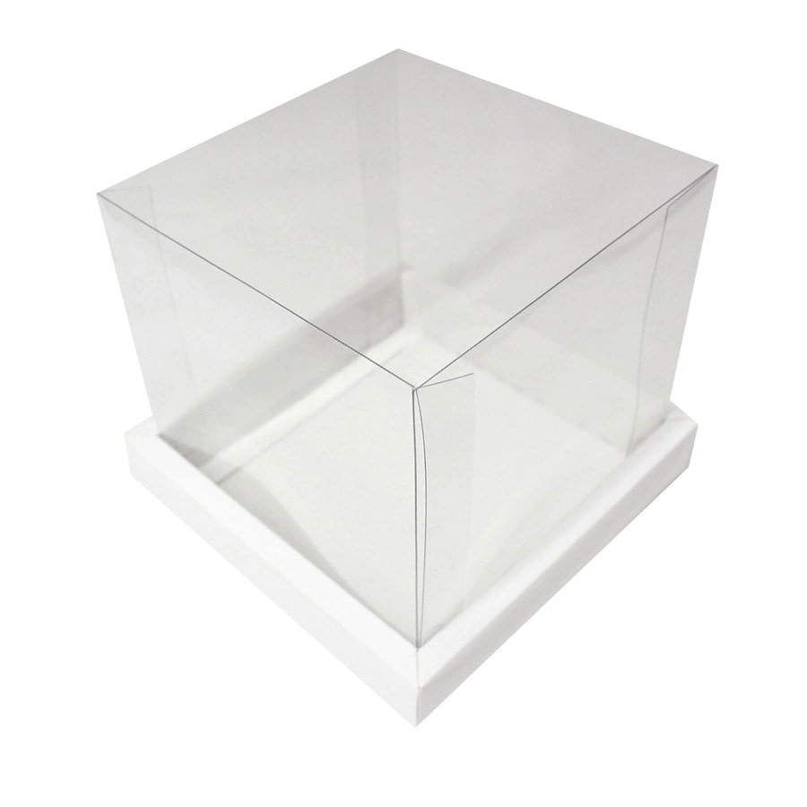 Cx Panet C/tamp 500g 15x15x15 C/5 Branco Assk