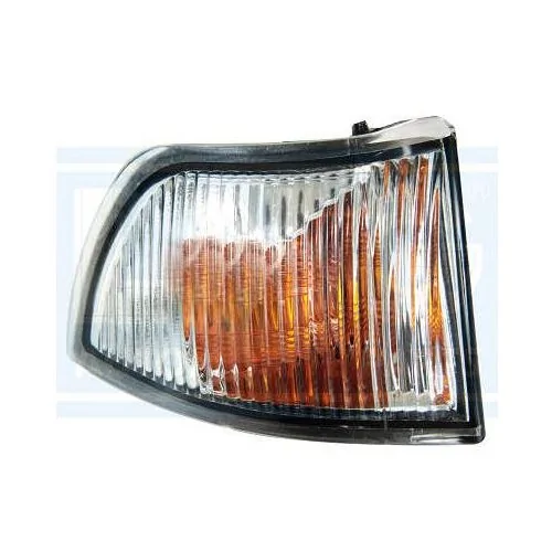Pisca do Retrovisor IVECO DAILY Lado Direito - LNG 54492