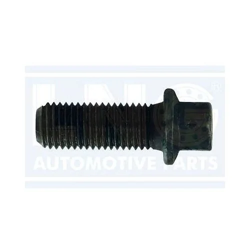 Parafuso do Terminal do Cardan 8X1X20mm - LNG 41538
