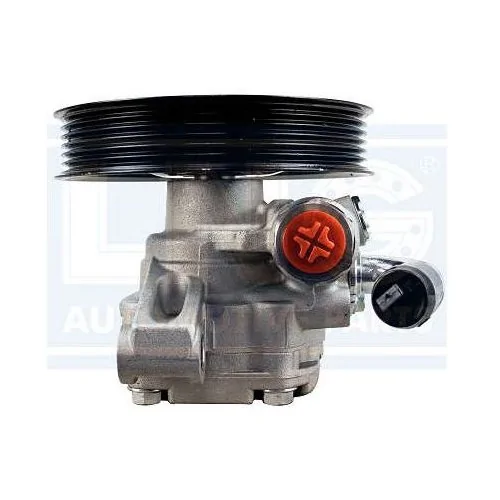 Bomba da Direção Hidráulica CHEVROLET - GM CAPTIVA - LNG 46398