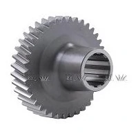 Engrenagem Constante - CINPAL 10330001