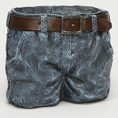 Vaso De Resina Short Jeans