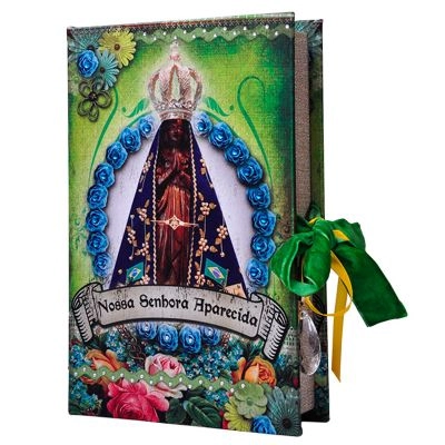 Livro Caixa Trevisan N.sra Aparecida
