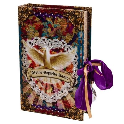 Livro Caixa Trevisan Espirito Santo