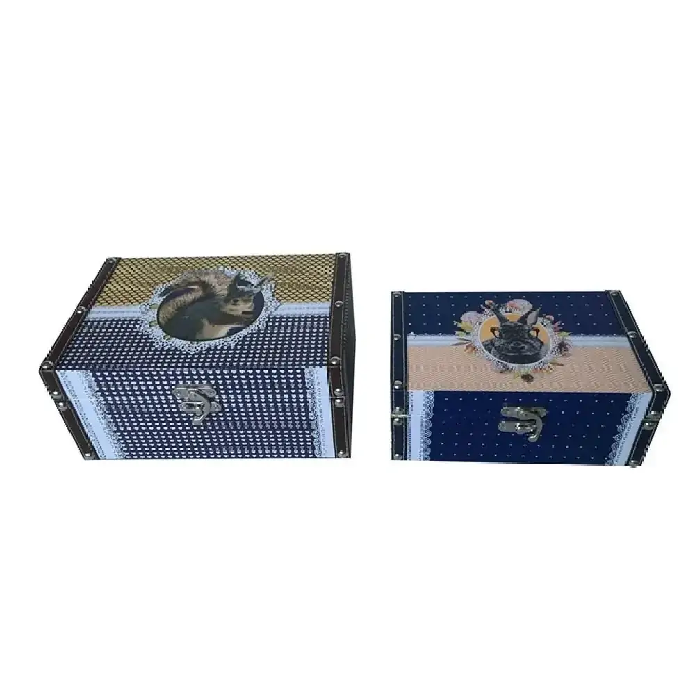 Caixa Pet Pop Esquilo 27030 Trevisan Concept