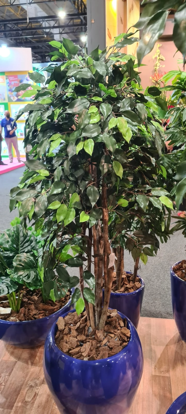 A. Ficus Tronco Natural X860 Folhas 150cm Verde Fs0458 31 Flor De Seda