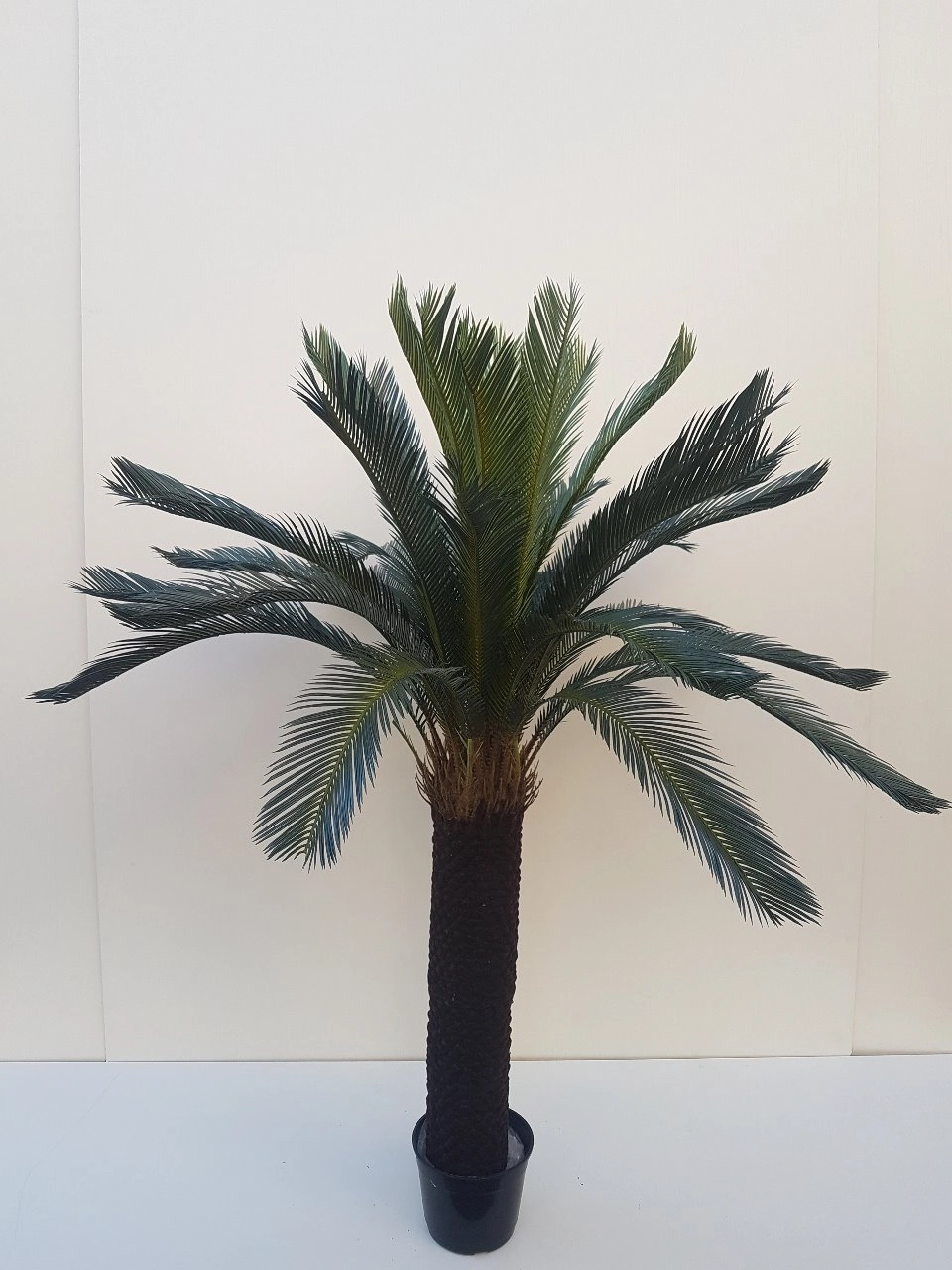 A Cycas Revoluta 180cm Verde Fs0589 31 Flor De Seda
