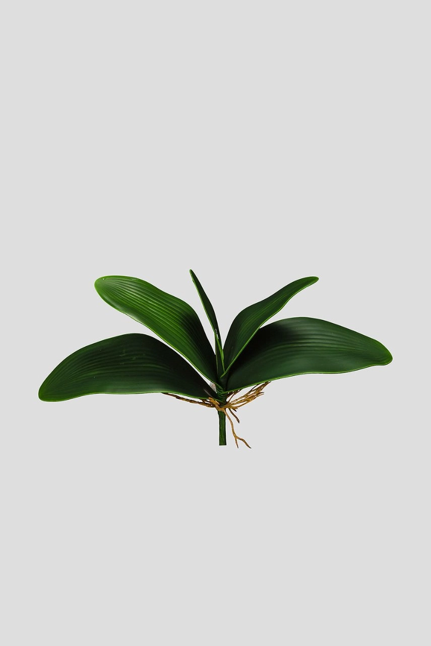 F Folha Orquidea X5 23cm Verde Fs0653 31 Flor De Seda