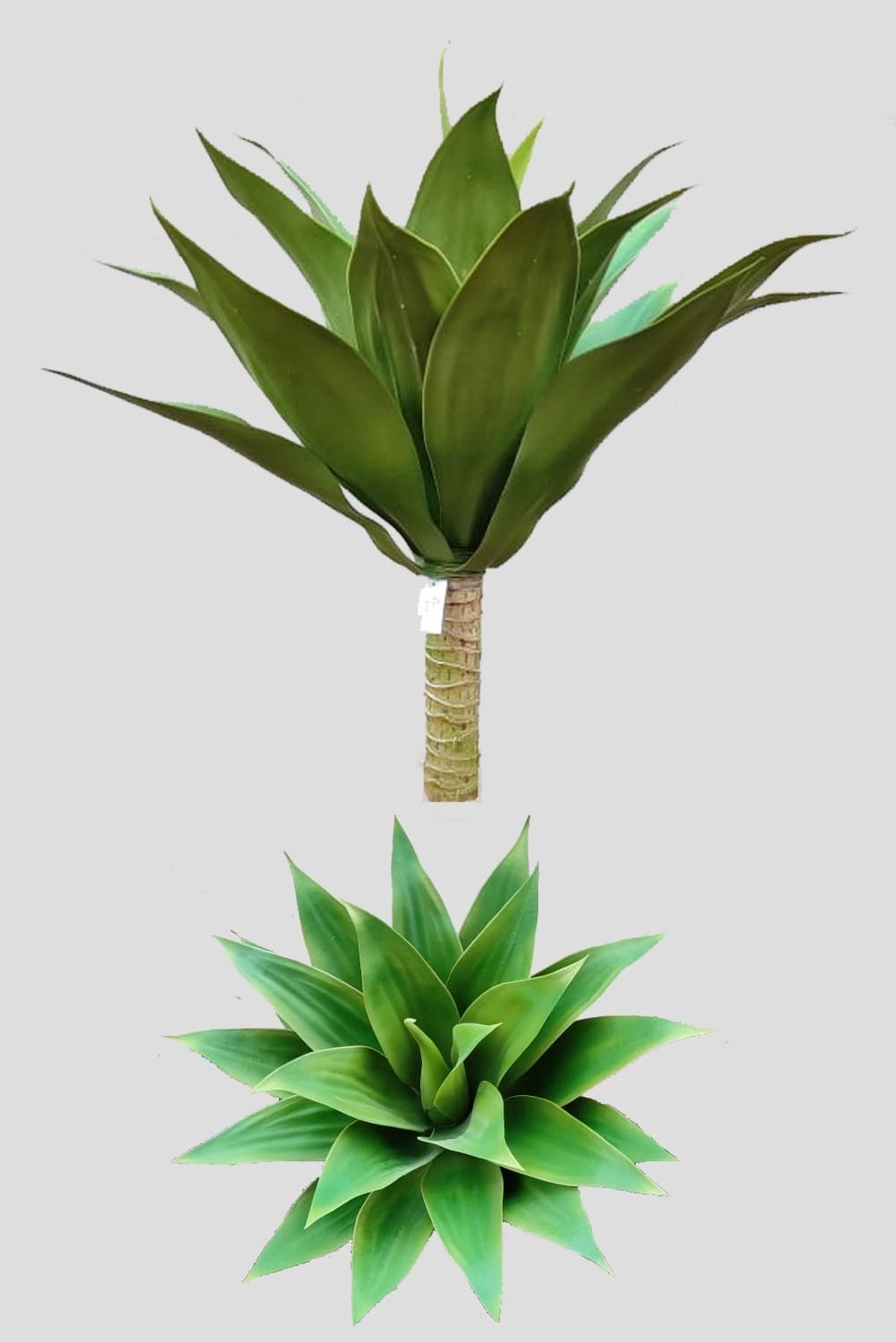 F Agave Dragao 56x46 15cm Verde Fs0683 31 Flor De Seda