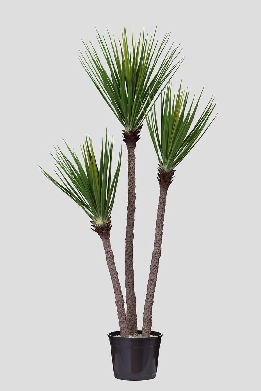 Arvore Yucca Gloriosa Verde X3 150cm Fs0723 31 Flor De Seda
