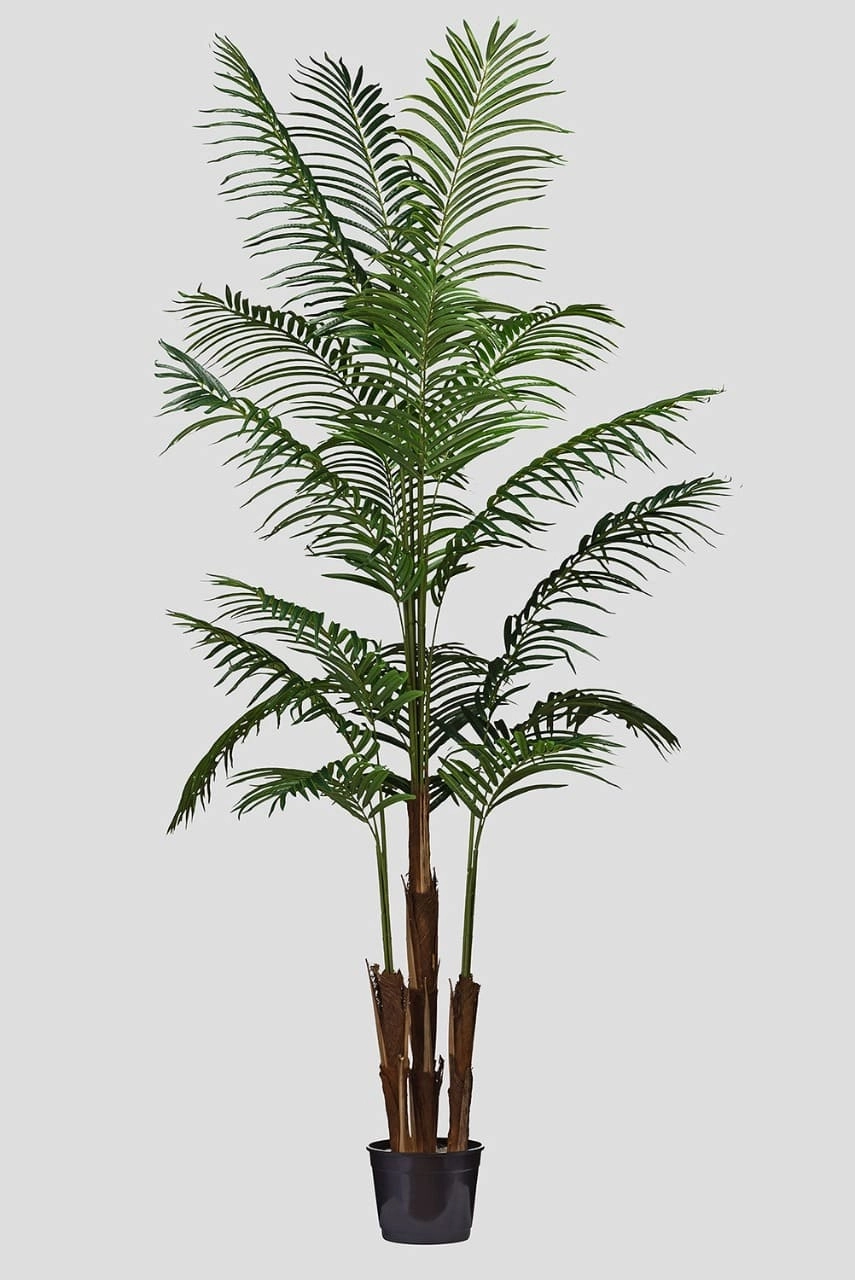 Arvore Palmeira Havaiana Verde 18fls 200cm Fs0724 31 Flor De Seda