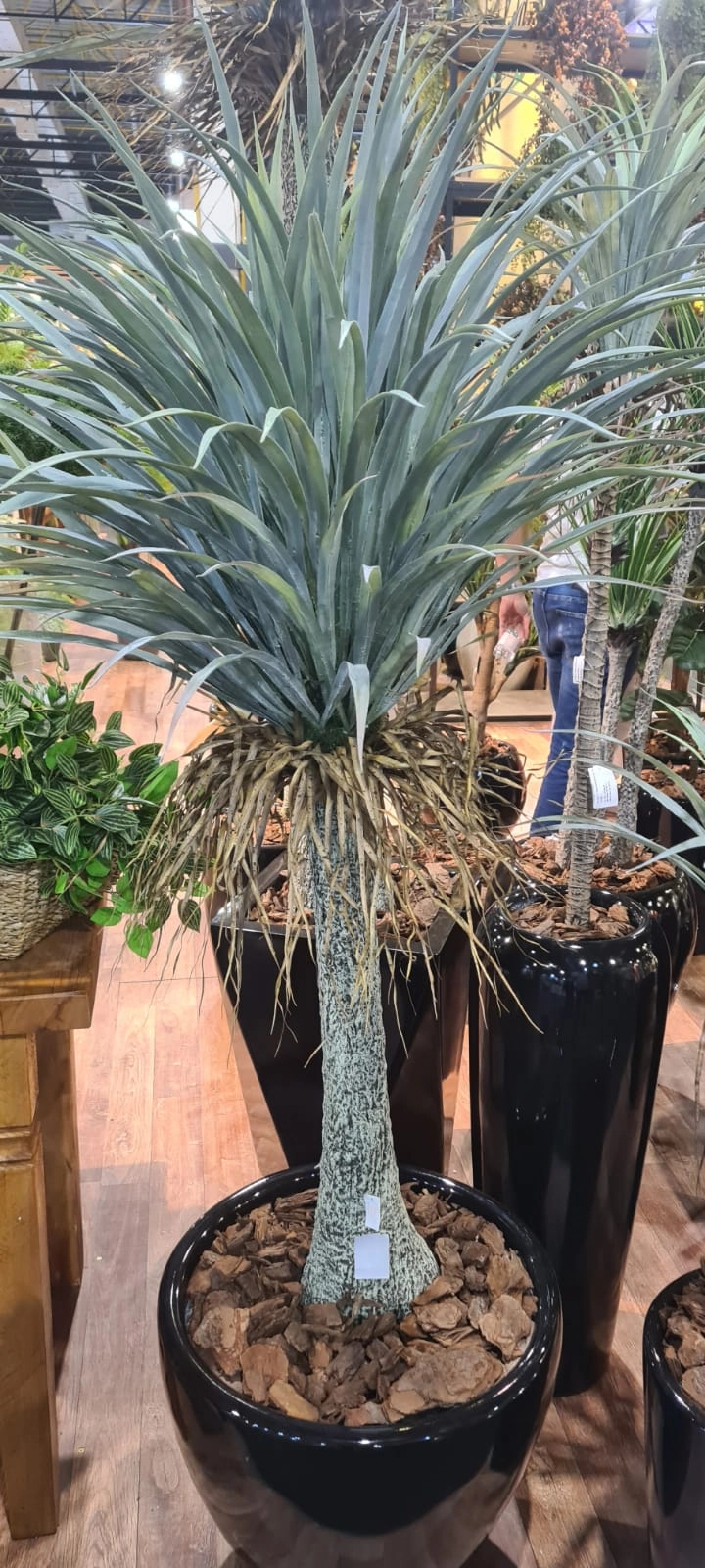 A. Yucca Rostrata 150cm Verde Fs0733 31 Flor De Seda