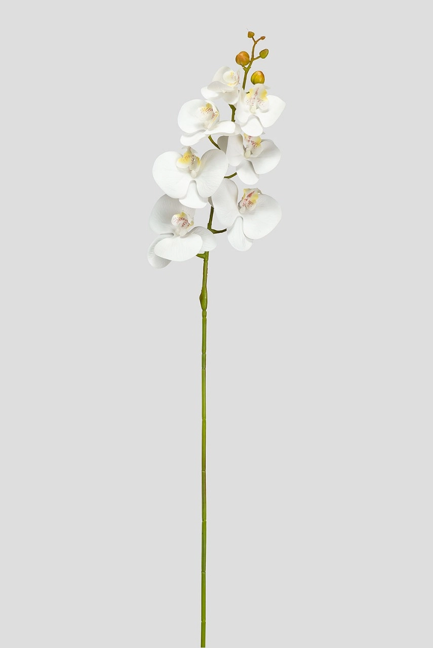H. Orquidea Phalaenopsis 3d X7 87cm Branco Amarel Fs0789 37 Flor De Seda